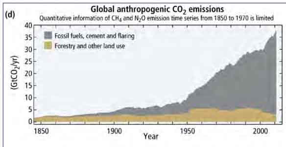 Fossil fuel conribution 6
