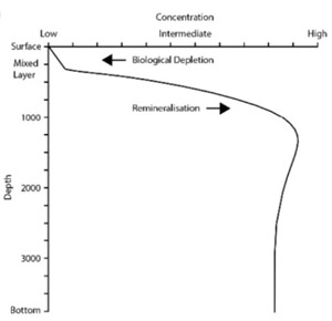 Fe at depth s. Ocean 300